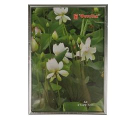 Pioneer China ImPort 50x70