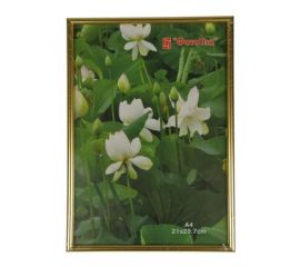 Pioneer China ImPort 40x60