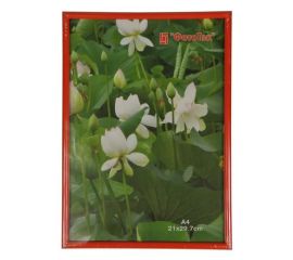 Pioneer China ImPort 70x100