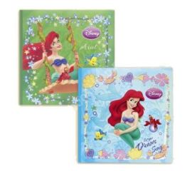 ФотоАльбомы Pioneer