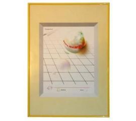 Фоторамки «Pioneer»