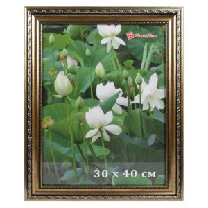 Фоторамка DLK Камыш золото (NO 61) 40х50