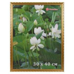 Фоторамка DLK «Камышок»(103) золото 30x45 ПЭТ
