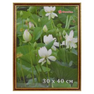 Фоторамка DLK «Кружево» ясень (10-93) 30x40