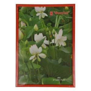 Фоторамка Pioneer DLK BD 30x40 Glass Red (6)