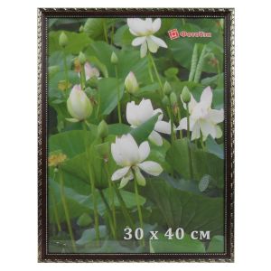 Фоторамка DLK «Камышок» коричневый (№101) 30x45