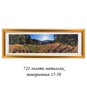 Фоторамка 15х50  721   золото металлик