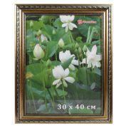 Фоторамка DLK Камыш золото (NO 61) 30х45