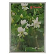 Фоторамка Pioneer DLK BD 50x60 Plexi White  (6)