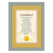 Фоторамка 5052-A4S MPA-Certificate 21х29.7 Bristol\Серебро (12/24)