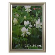 Фоторамка DLK-Радуга широкий пластик 21*30 (1624-403) латунь