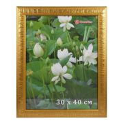 Фоторамка DLK Адриатика золото (1638 141) 30х40