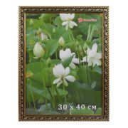 Фоторамка DLK каменный цветок (290-1-122) 30х40
