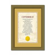 Фоторамка 5052-A4G MPA-Certificate 21х29.7 Bristol\Золото (12/24)