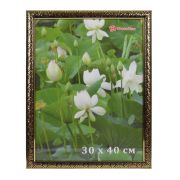 Фоторамка DLK Цезарь золото (R512-A-G) 30х40