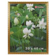 Фоторамка DLK «Камышок»(103) золото 30x40