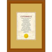 Фоторамка 5053-A4F MPA-Сertificate 21х29.7 Douglas Клён (12/24)