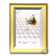 8538 Фоторамка Pioneer wf 50х60 Poster Gold (6)