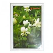 Фоторамка Pioneer DLK BD 10x15 Glass black (12)