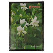 Фоторамка Pioneer DLK BD 30x40 Glass Black  (6)