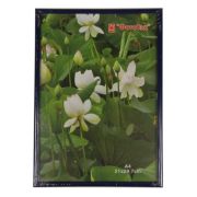 Фоторамка Pioneer DLK BD 60x80 Plexi Blue  (6)