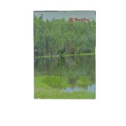 Фоторамка Pioneer DLK Clip 40x60 PlexiGlass (12)