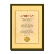 Фоторамка 5006-А4O MPA-Certificate 21х29.7 Derby Мирт (12/24)