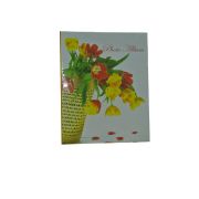 Фотоальбом PP-46200-2 PP 200 фото 10х15 цветы в ассорт (24)