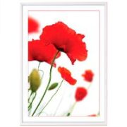 Фоторамка пластиковая 15Х21, poster lux  white/12, PIONEER