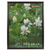 Фоторамка DLK «Камышок» коричневый (№101) 30x45
