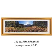 Фоторамка 15х50  721   золото металлик